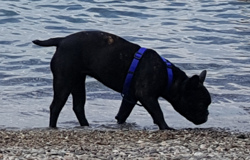 3a5c9d11-085f-4efa-b41d-3cefda99e3ce