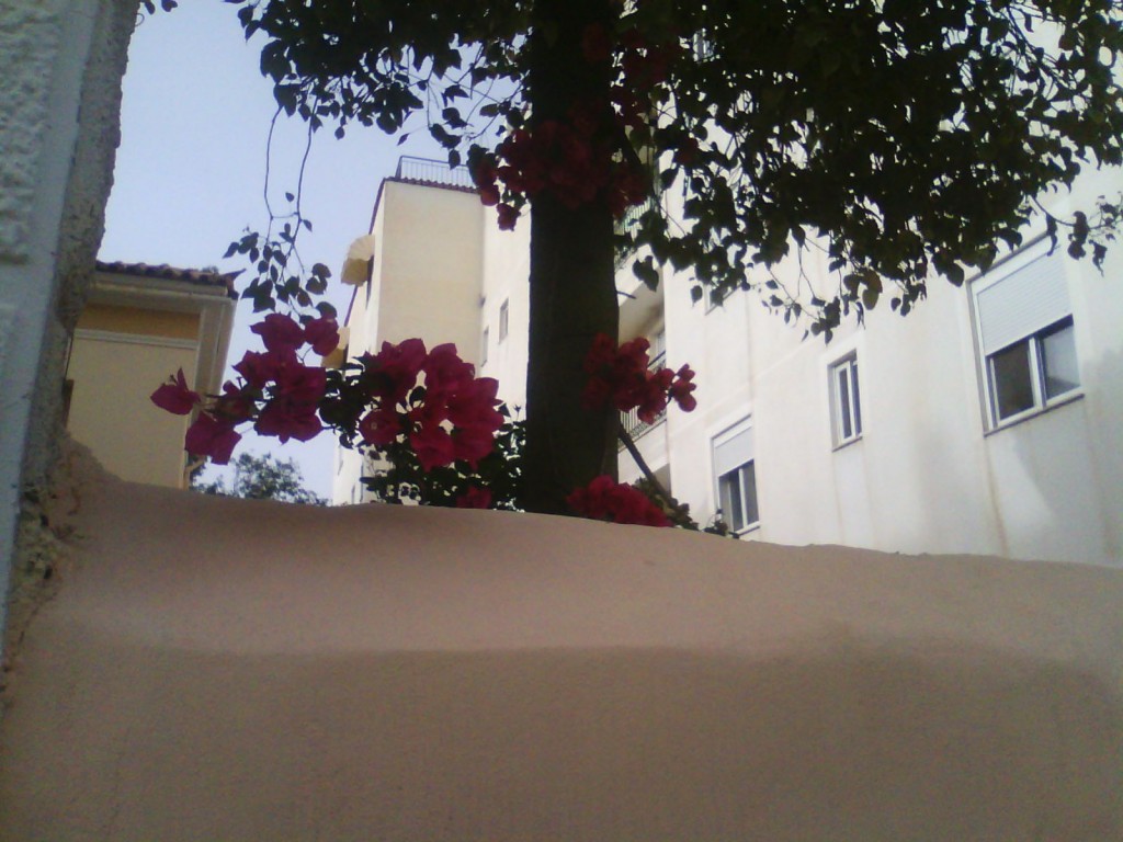 IMG_20130519_183038
