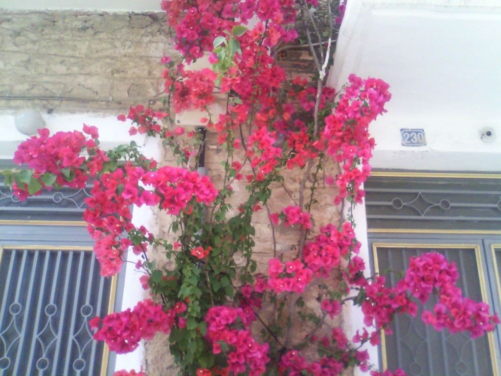 IMG_20130519_183453