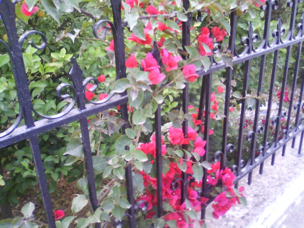 IMG_20130519_201033