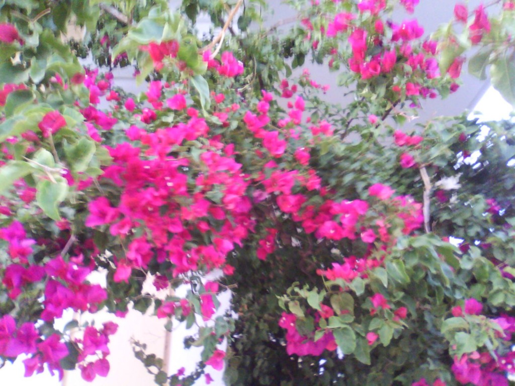 IMG_20130519_201335